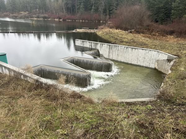 Dam 3.31.2025
