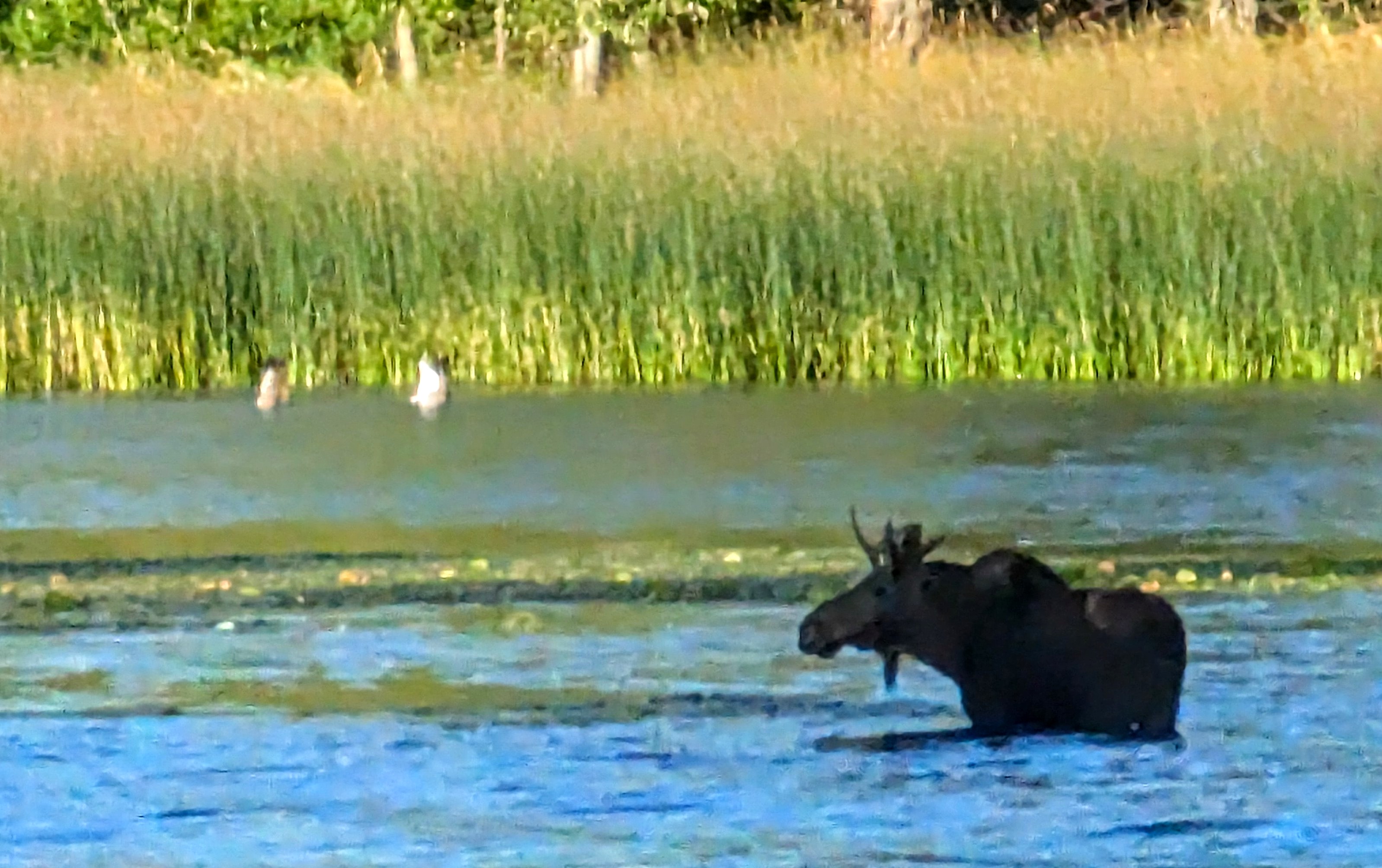 Dining at Spirit Lake